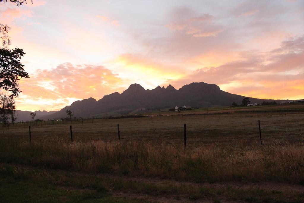 Rosenview Guest House Stellenbosch Exterior photo